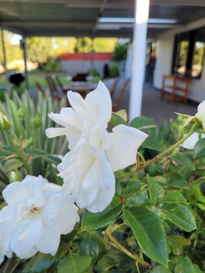 Ayana Bnb Bloemfontein Buitenkant foto